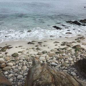 Meet your Posher, Raynie